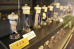 Glass jars with parasite specimens suspended in fluid