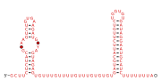 BTnc201 Secondary structure taken from the Rfam database. Family RF04177