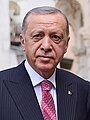 土耳其总统 雷杰普·塔伊普·埃尔多安