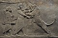 Ashurbanipal kills a lion