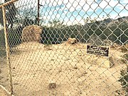 The adobe ruins of the Fort Lowell kitchen built in 1879.