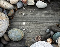 Cretaceous turbidite showing Bouma A-D layers. Pigeon Point Formation, Pescadero Beach, California.