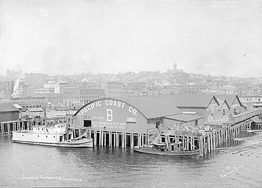 University of Washington Special Collections dates this "ca 1900-1903". This is clearly the same pier as the preceding photo (three sheds at right angles, etc.). There is no obvious reason to choose one as earlier than the other, but I'd conjecture that this is later, because it seems more likely "Pacific Coast Co." was added than removed: after all, it shows up on the newly built piers a few years later. On the end of the pier shed is written, "The Pacific Coast Co.", "City Dock", a large "B", and "Lilly Bogardus Co.'s Dock / Hay, Grain, Flour and Seed"
