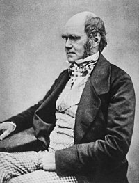 Portrait of Charles Darwin