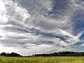 Cirrus clouds (June 2009)
