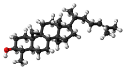 Ball-and-stick model of cycloartenol