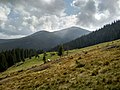 Hoverla from Northwest