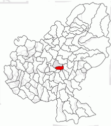 Location in Mureș County