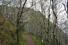 Martinhoe Footpaths