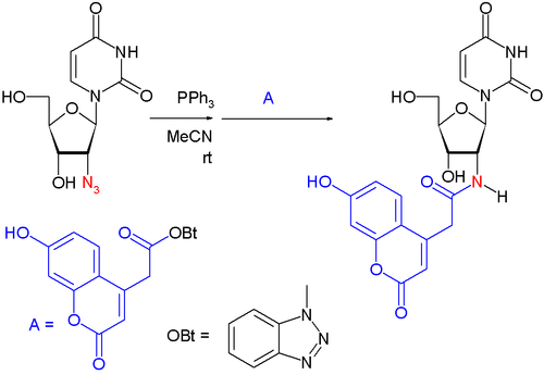 Stauding Ligation 应用 Kosiova 2006