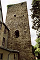 Mediaeval bergfried (2009)