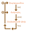 Armenian