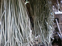 Dried karagumoy strips