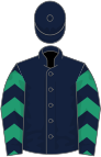 Dark blue, emerald green chevrons on sleeves