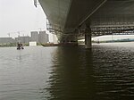 青林湾大桥桥底