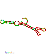 Listeria snRNA rli23: Predicted secondary structure taken from the Rfam database. Family RF01458.