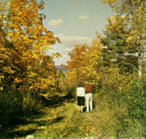 Trail near Glidden Drive, published 1963