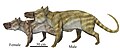 Ankalagon saurognathus