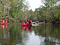 Image 14Boy Scouts canoeing on the Blackwater River, Virginia