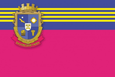 瓦西里夫卡区旗帜