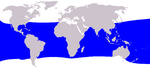 Bryde's whale range