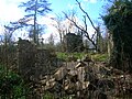 Ruins of estate outbuildings