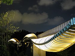 Henderson Waves at night