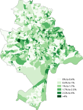 White-Irish