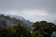 View of Katharo plateau