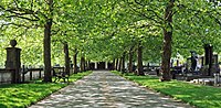 Tree avenue to the ceremonial building.