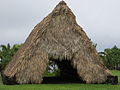 thatched canoe house