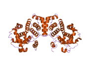 2b9r: Crystal Structure of Human Cyclin B1