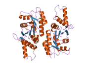 2vo1: CRYSTAL STRUCTURE OF THE SYNTHETASE DOMAIN OF HUMAN CTP SYNTHETASE