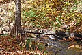 Creek with ruins of what may be a corduroy road[3]