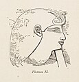 Sketch from temple relief of Thutmose II. Considered a weak ruler, he was married to his sister Hatshepsut. He named Thutmose III, his son as successor, but Thutmose III was too young to rule at his father's death and thus his stepmother Hatshepsut was his regent. Hatshepsut and Thutmose II had a daughter, Neferure.