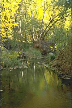Aravaipa Creek, AZ