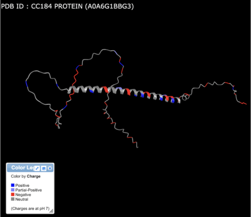 AlphaFold figure indicates 3D model of CCDC184. The colors indicate the charged regions of the structure.