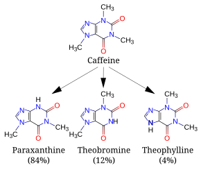 A diagram featuring 4 skeletal chemical formulas. Top (caffeine) relates to similar compounds paraxanthine, theobromine and theophylline.