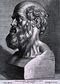 Image 42Hippocrates (c. 460–370 BCE). Known as the "father of medicine". (from History of medicine)