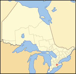 Location of Brant