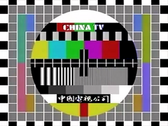 Off-air screen capture of an NTSC circle pattern used by CTV Main Channel in Taiwan from the 1990s–2008.