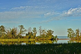 Photo of a Rattray Marsh in June