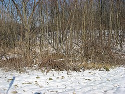 The Brooke Site, an archaeological site in the township