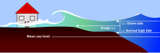 Impact of a storm surge