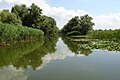 多瑙河生物圈保护区（乌克兰语：Дунайський біосферний заповідник）