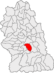 Location in Hunedoara County