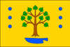 Flag of Brodek u Konice