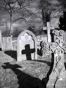 Gravestones in a cemetery