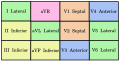 Electrocardiogram