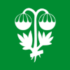 Flag of Sunndal Municipality